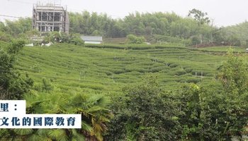 茶香傳千里：立足在地文化的國際教育