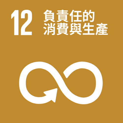 20241015112120_SDG_12