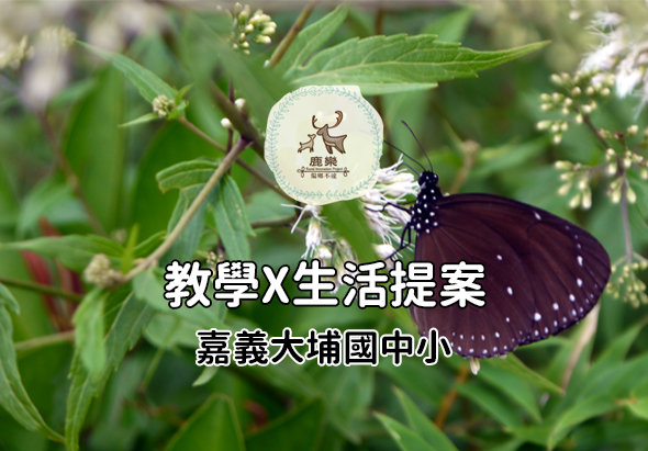 輪播圖片