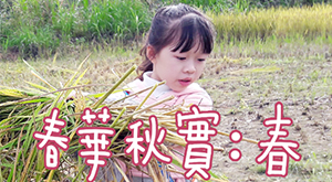 2018春華秋實：春