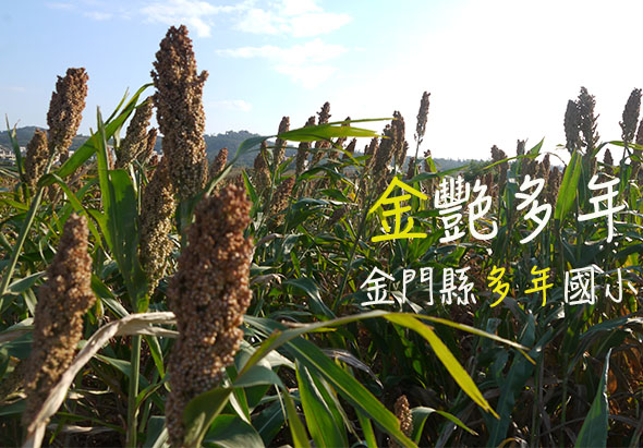 輪播圖片