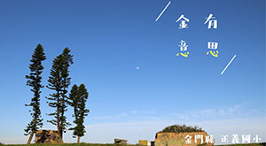 金有意思