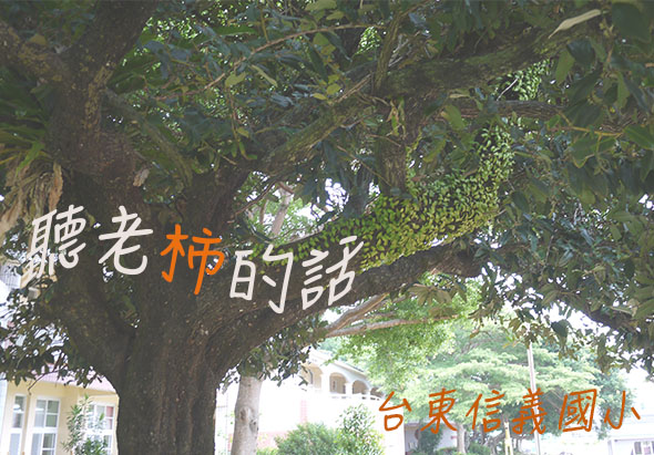 輪播圖片