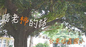 聽老「柿」的話