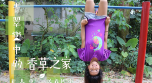 香草之家