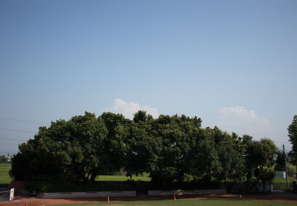 /media/original_images/20181313_text06.jpg