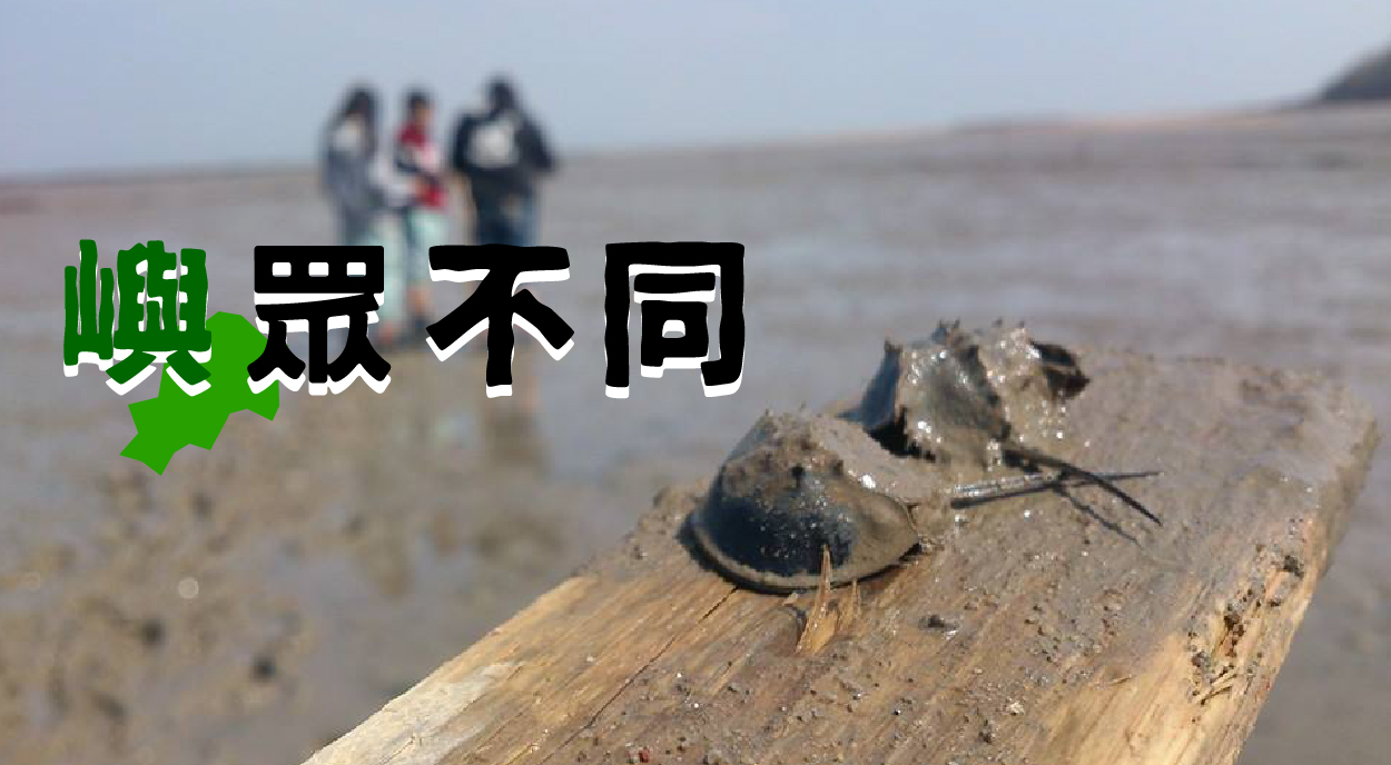 嶼眾不同