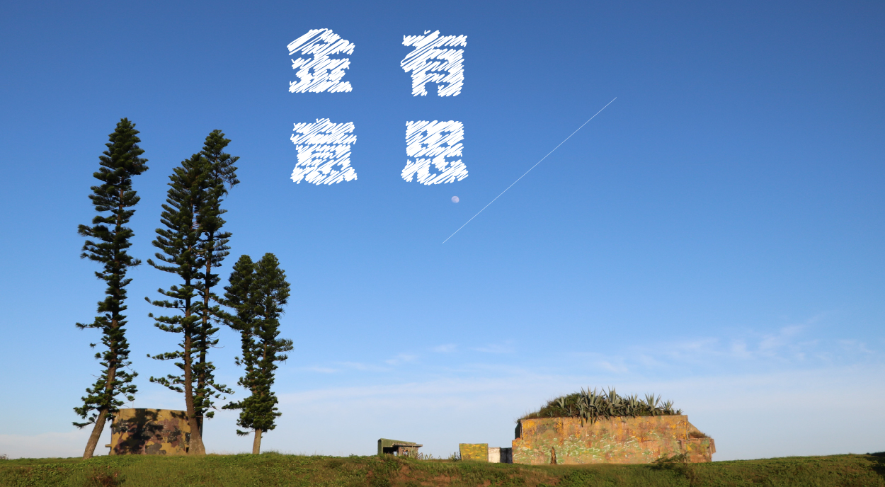 金有意思4