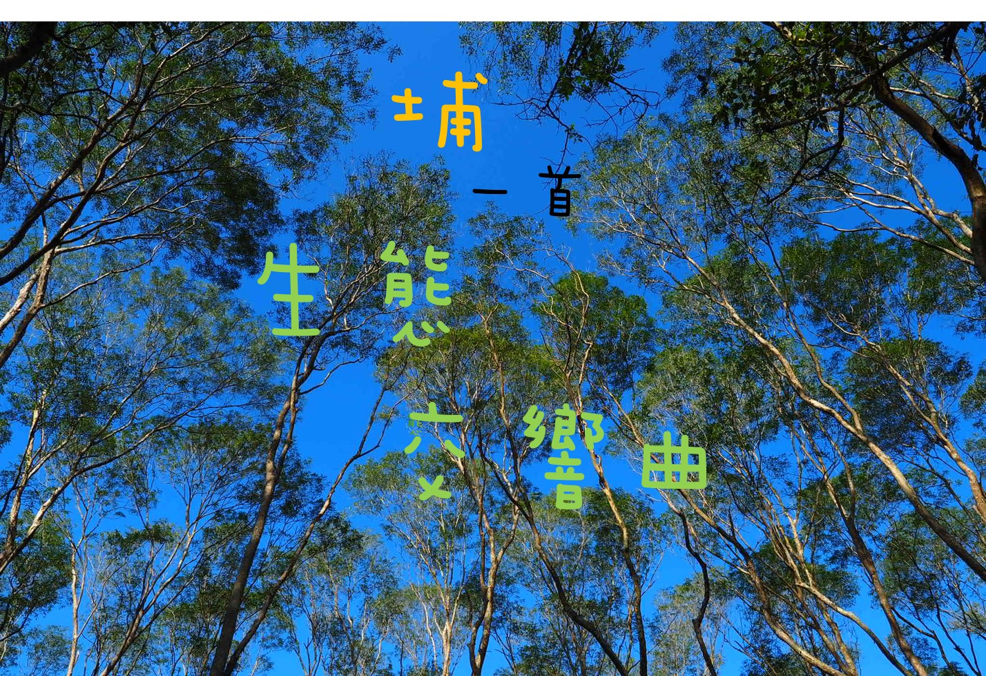 輪播圖片