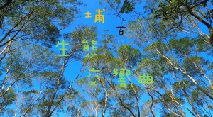 埔一首生態交響曲