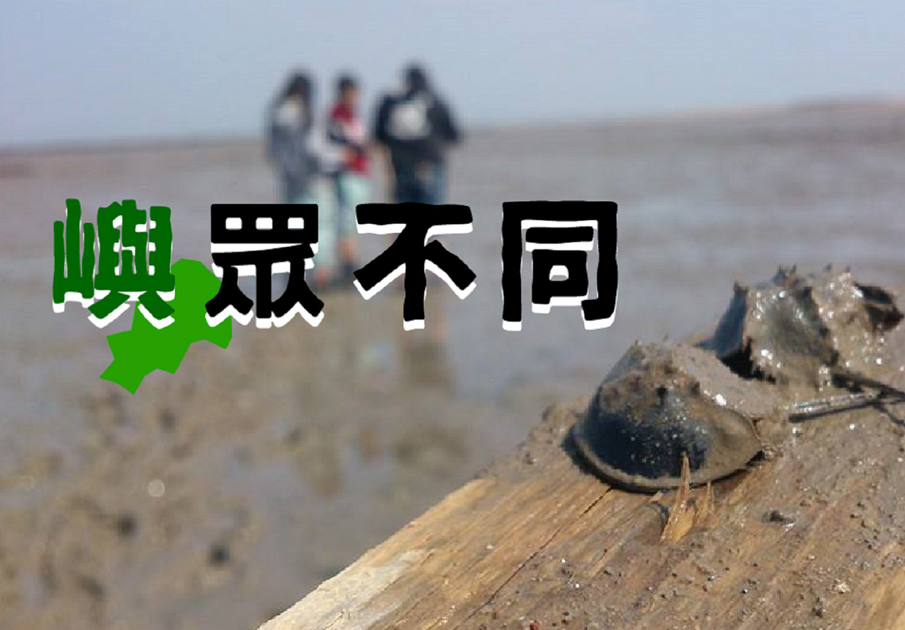輪播圖片
