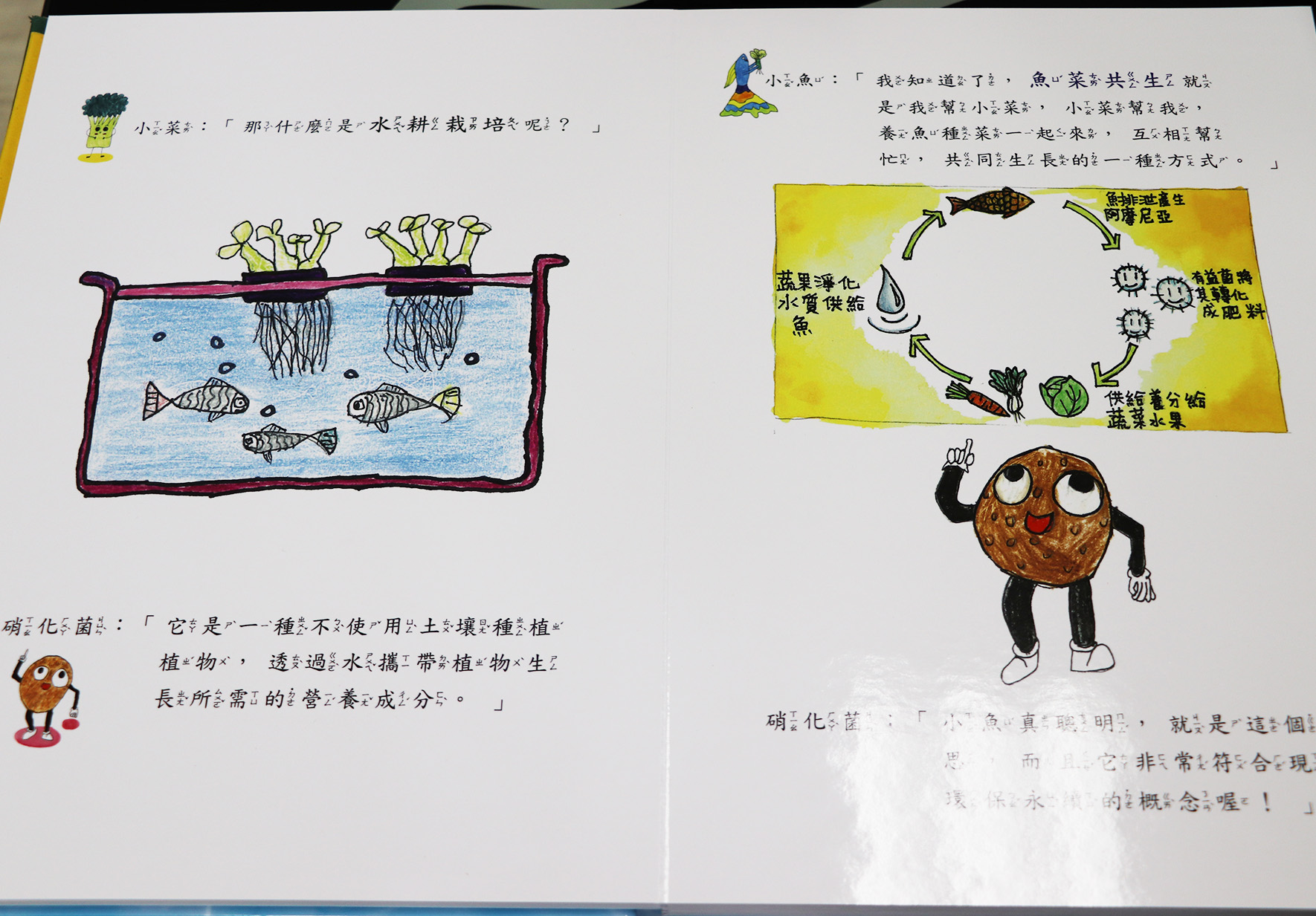 輪播圖片