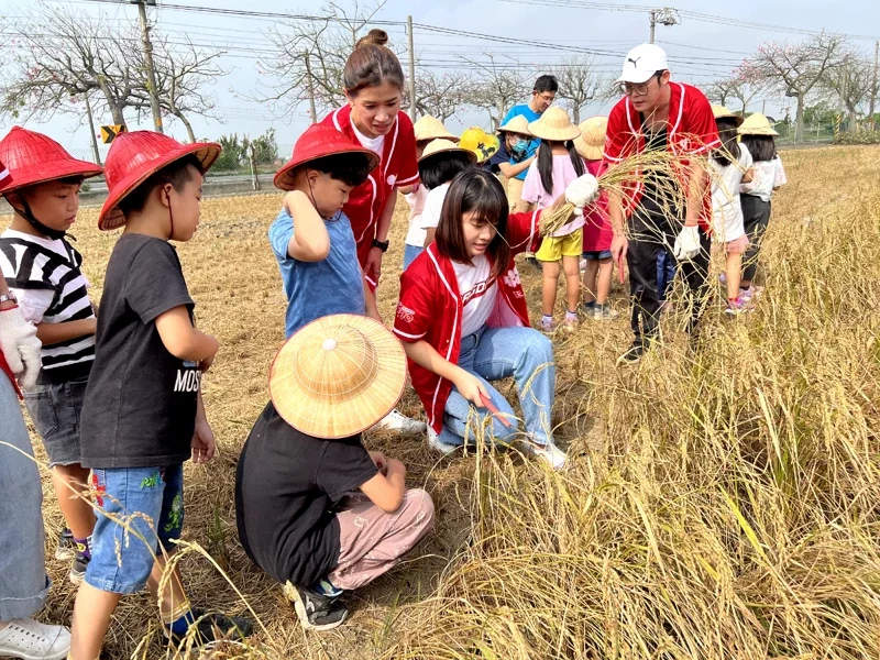彰化偏鄉小學慶豐收 企業下鄉贈鮮乳助割煮米豆花