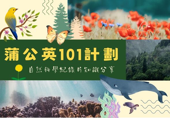 輪播圖片