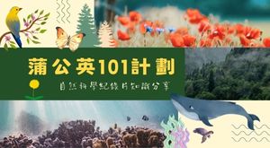 蒲公英101計劃２