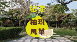 紀安·柚現風華