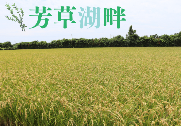 輪播圖片