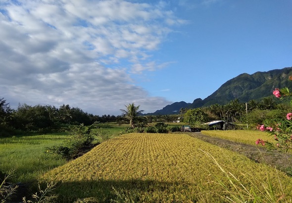 輪播圖片