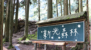 新光森林