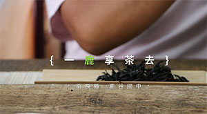 一鹿享茶去