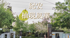 紀安·柚現風華