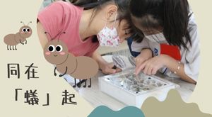 同在「蟻」起